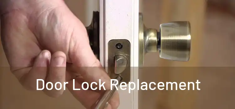  Door Lock Replacement 